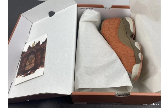 AT3102-200 SEPIA BLUSH AIR X 13 STONE CANTEEN-TERRA AT3102-200 CLOT LOW JORDAN 0904